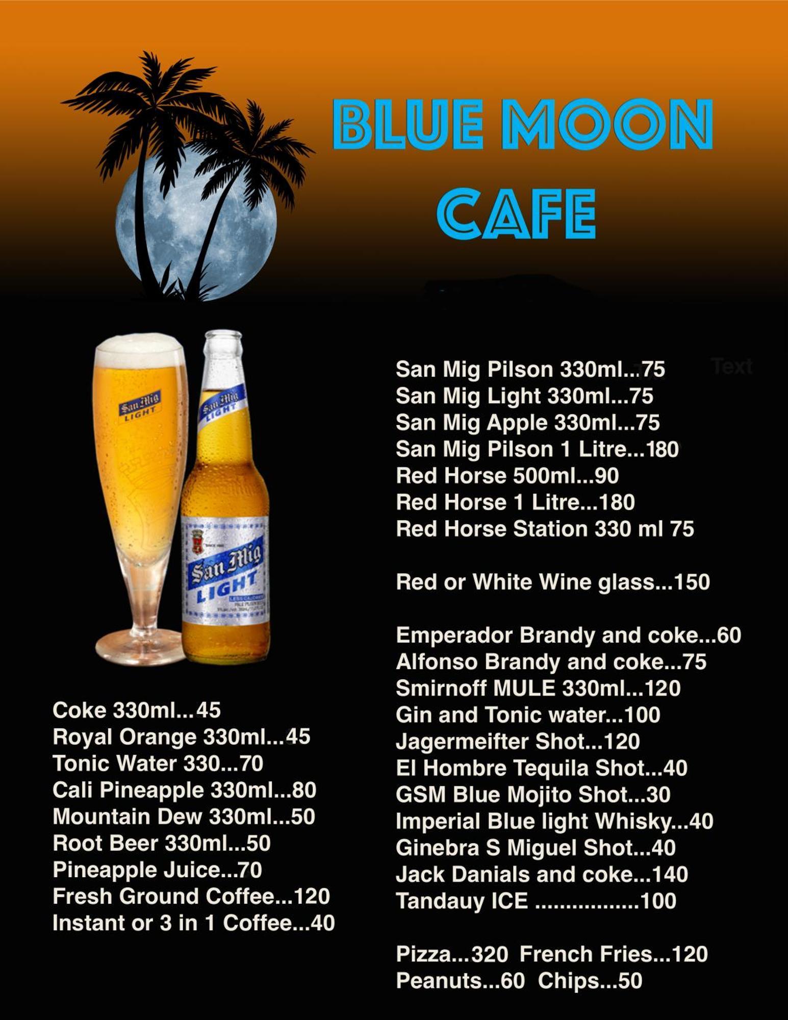 Blue Moon Guesthouse Puerto Princesa Exteriér fotografie